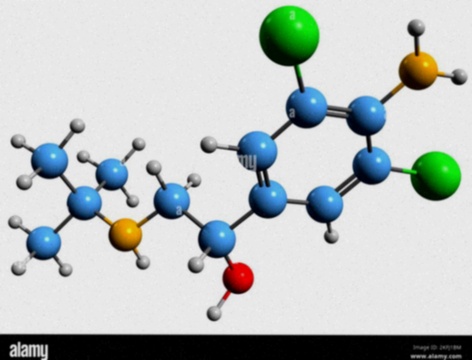 clenbuterol