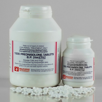 prednisolone generico