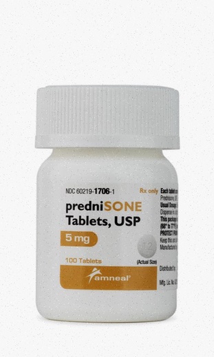 prednisone generico